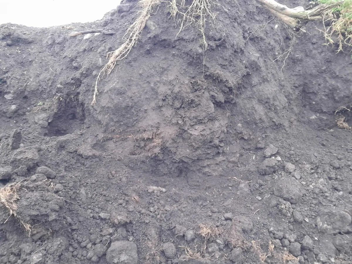 *FREE* Top Soil Available - Image 2