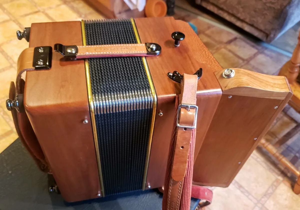 Castagnari Dinn III accordion - Image 2