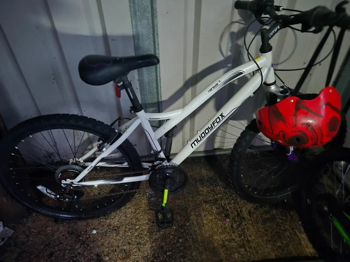 Child s bicycle for sale in Co. Donegal for 100 on DoneDeal