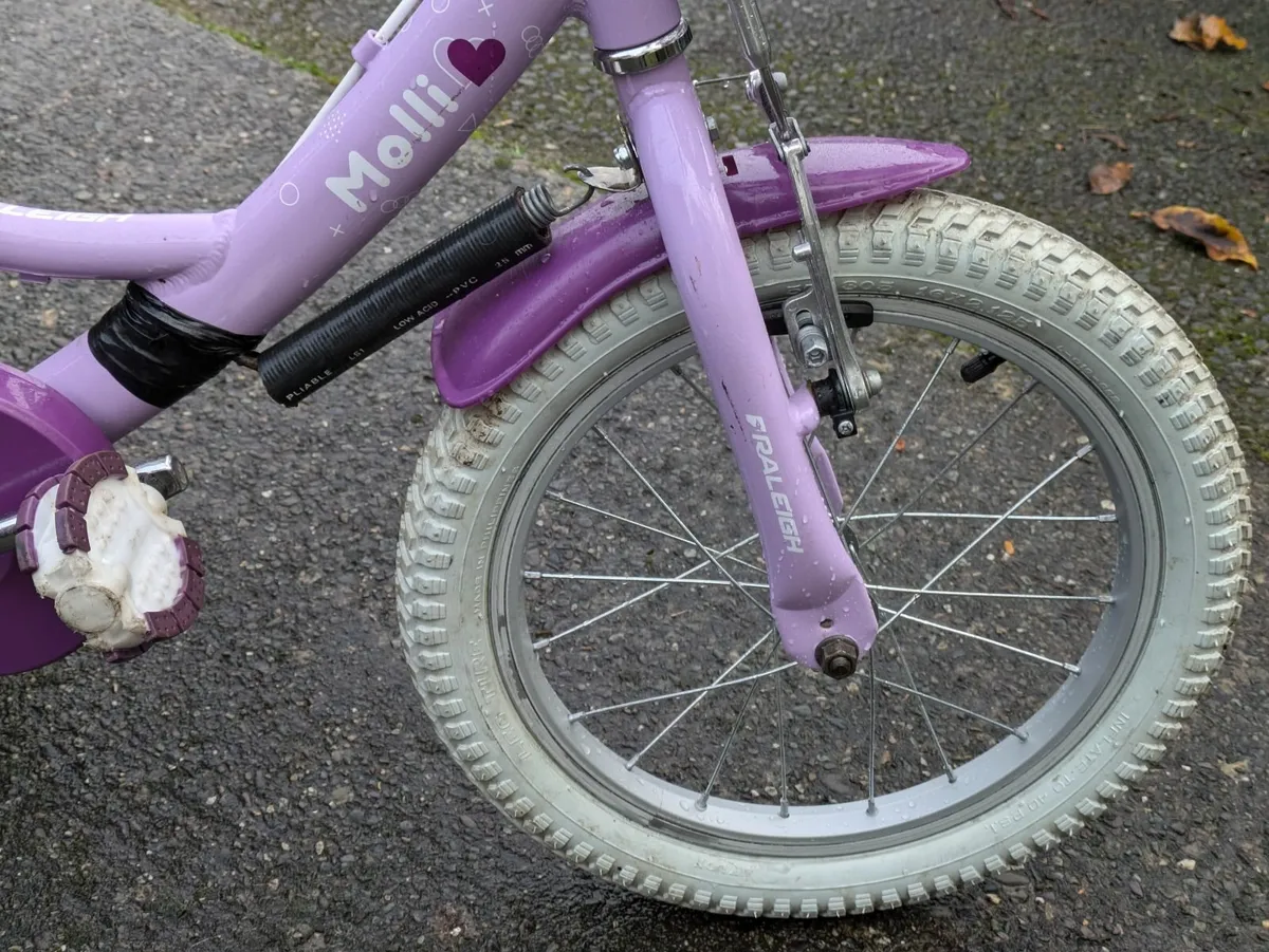 Molli bike 16 hotsell