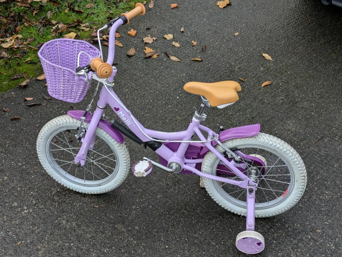 Molli 16 inch bike hotsell