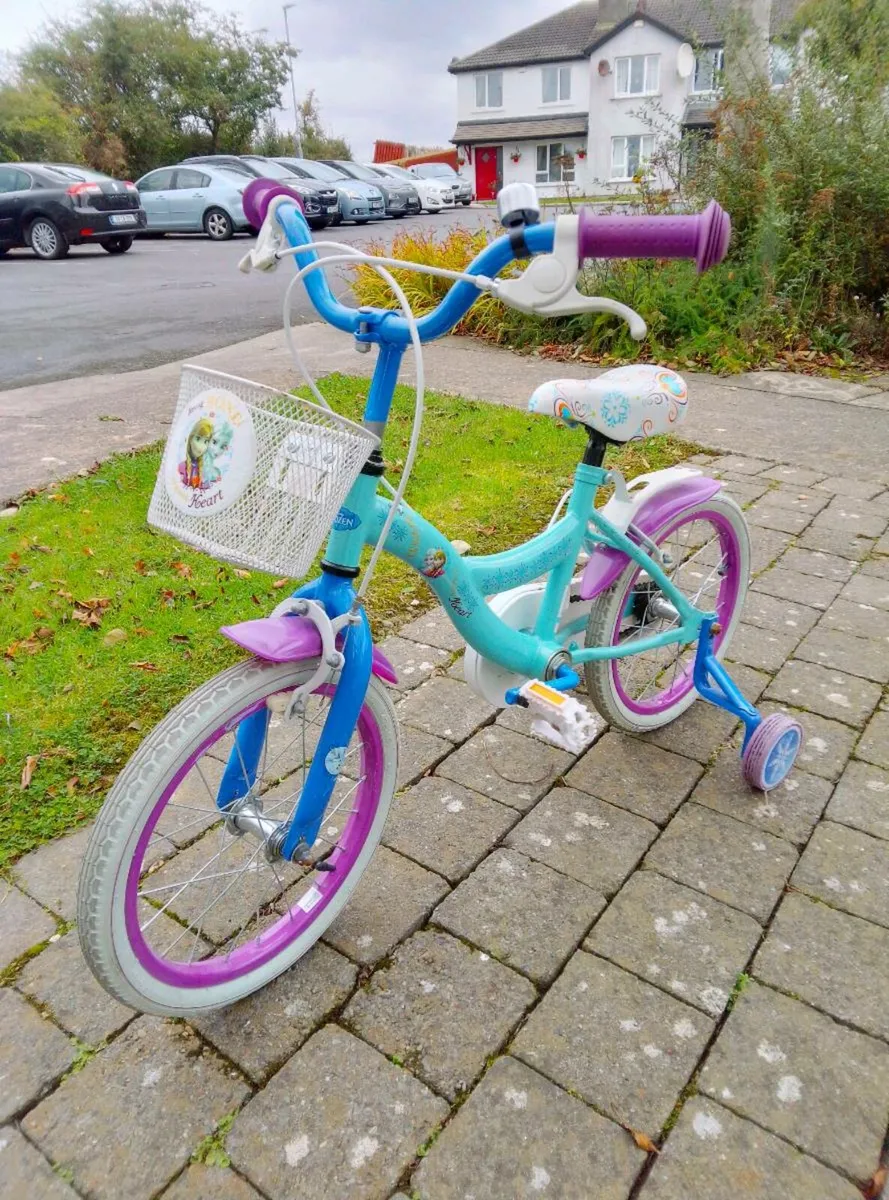 Frozen Bike - Image 1