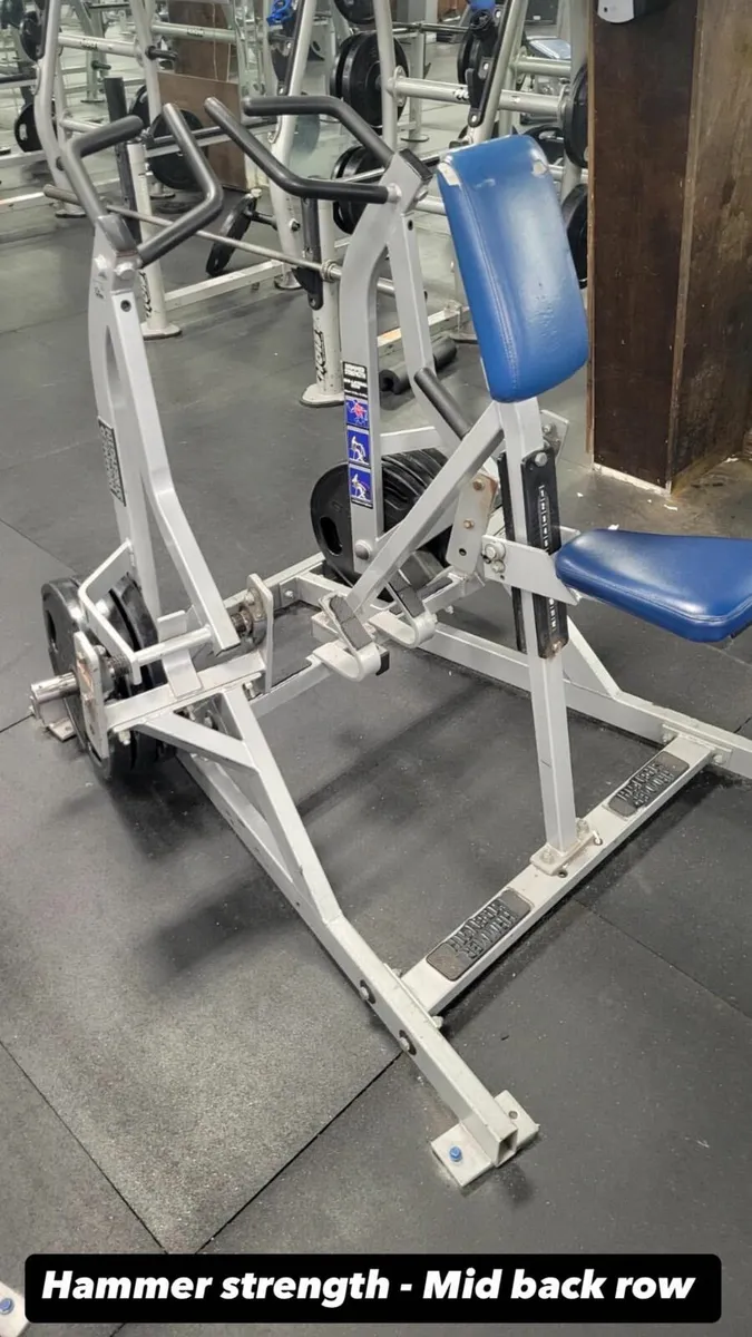 Hammer strength mid row hotsell