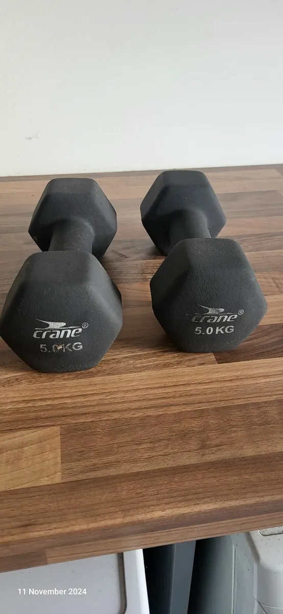 Pair of 5KG Hand weights - Image 1