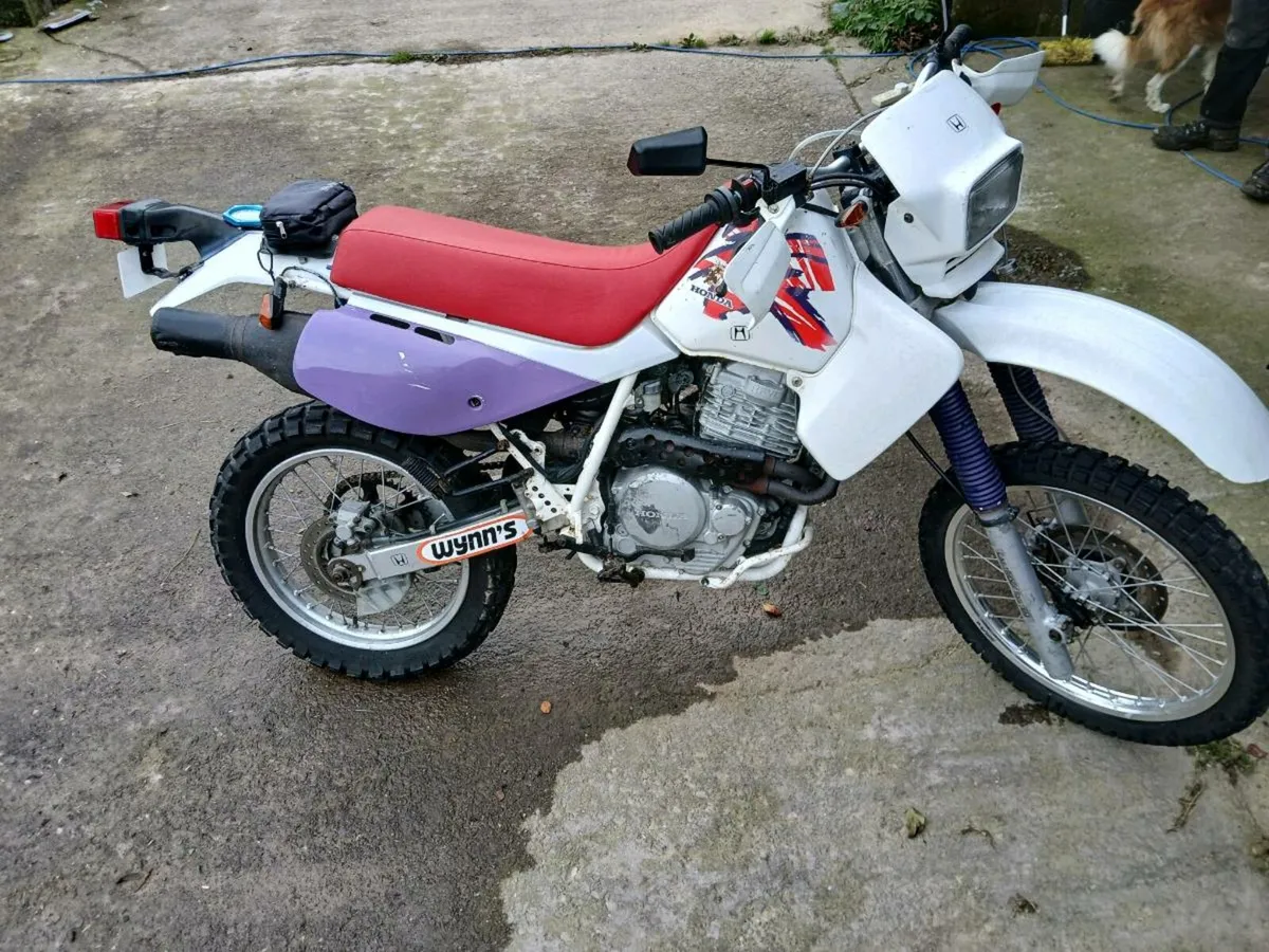 Honda xr650l - Image 1