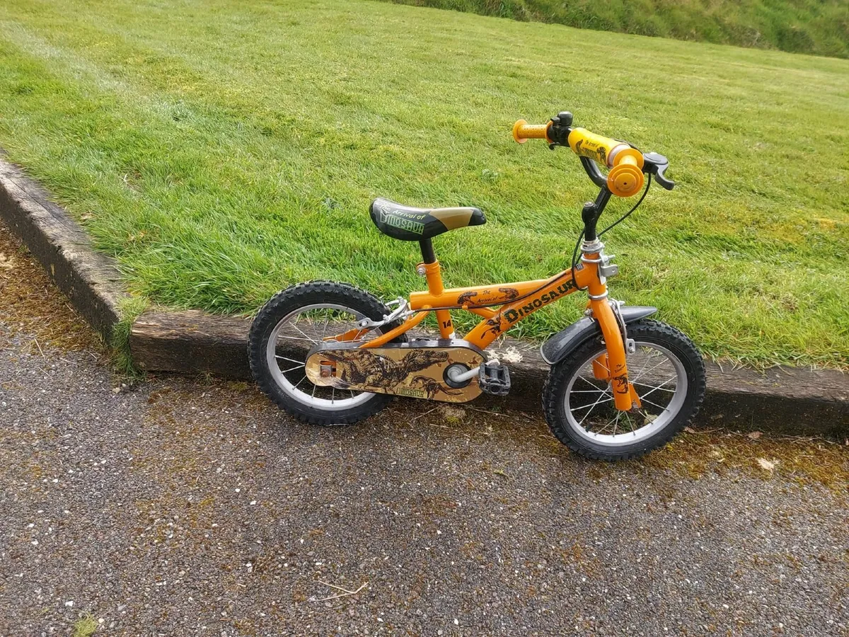 Dinosaur kids 14 inch bike for sale in Co. Cork for 40 on DoneDeal