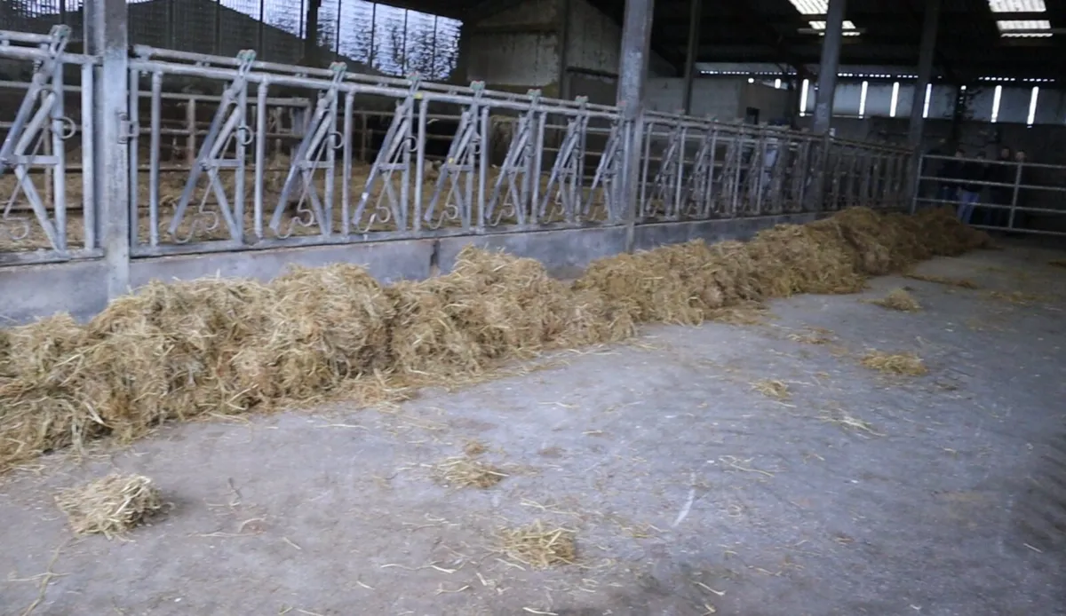 Wessex Bale unwinder DEMO - Image 2