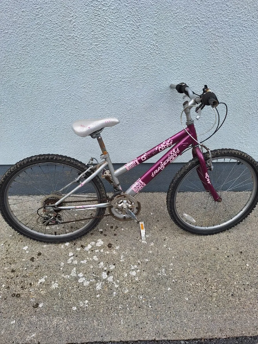 Raleigh krush bike 24 inch cheap
