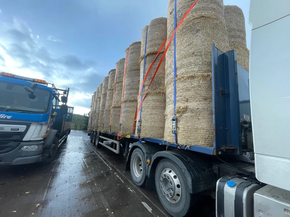 Round bales of top quality barley straw - Image 1