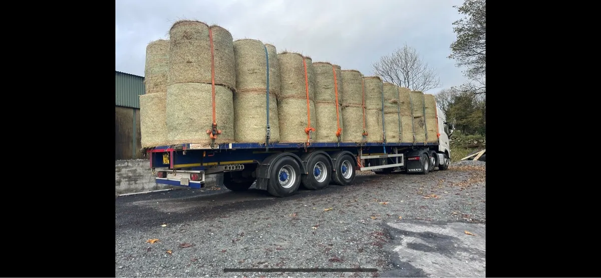 Round bales of top quality barley straw - Image 4