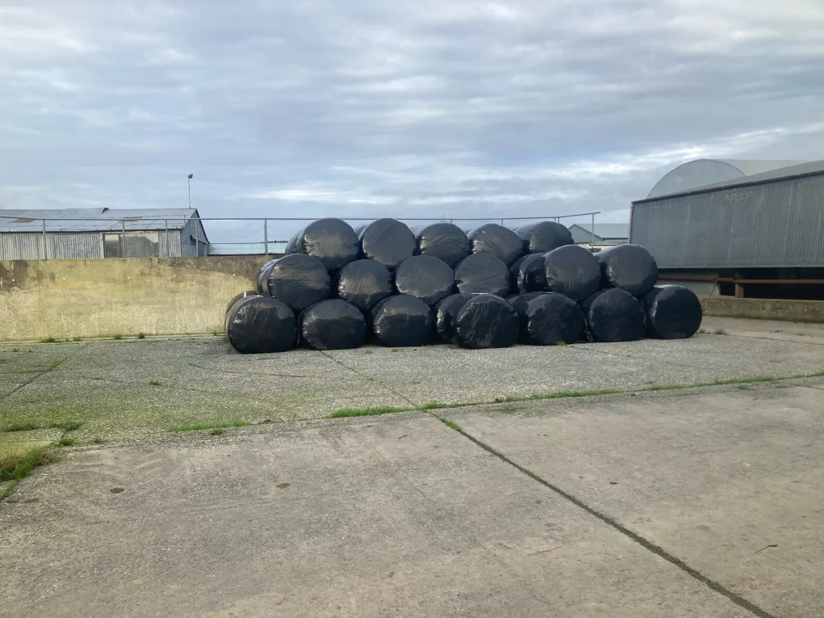 Silage Bales