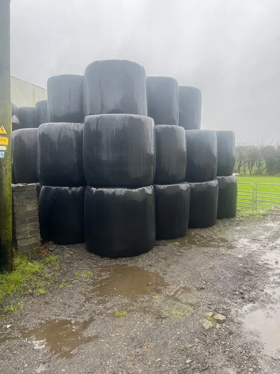 Silage for sale(can deliver) - Image 1