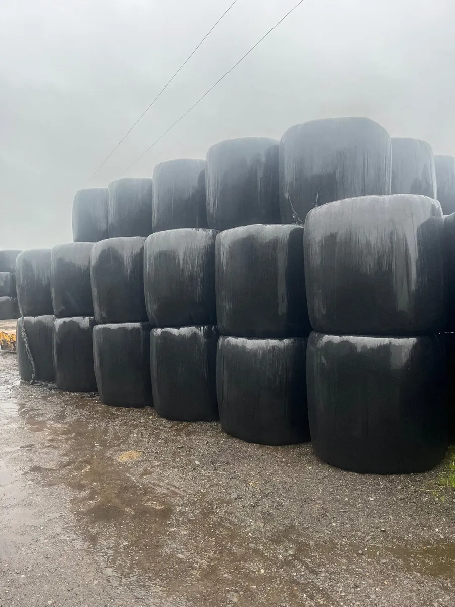 Silage for sale(can deliver) - Image 2