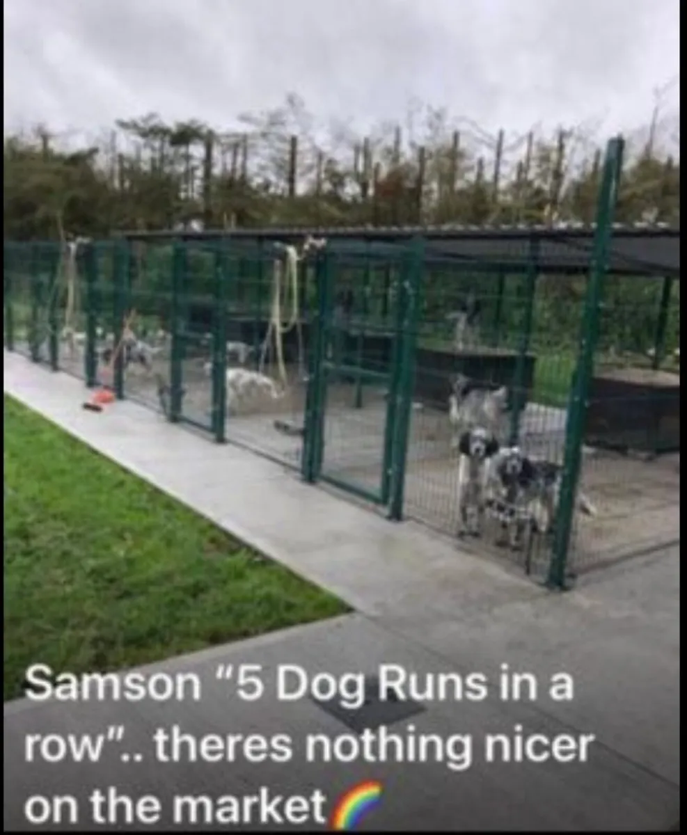 ‼️‼️SALE‼️‼️BIG SALE..DOG RUNS - Image 1