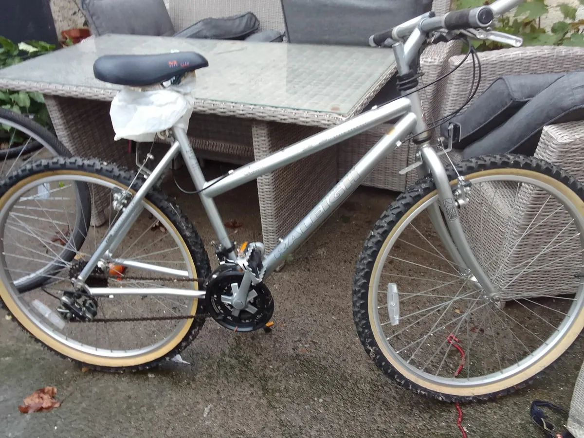 Raleigh voyager mountain bike hotsell