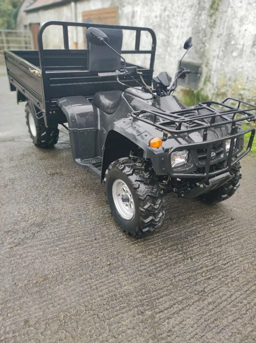 Bashan quad 300 cc - Image 2