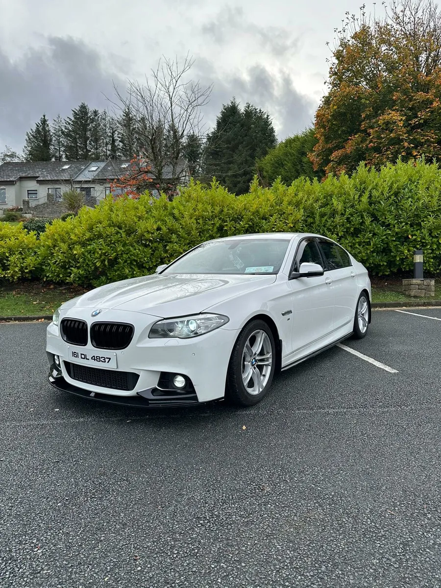 Bmw 520d msport - Image 1