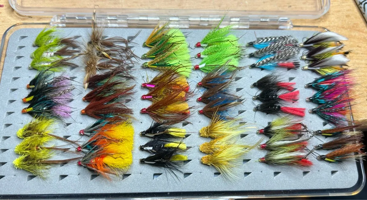 X54 Irish Wet Fishing Trout Fly Selection - Image 2