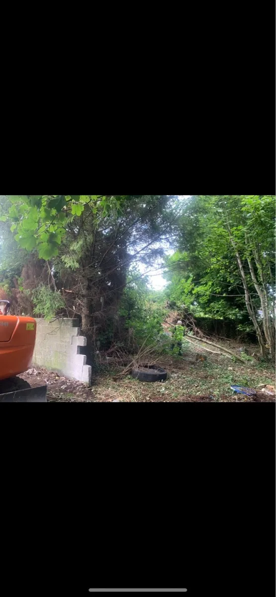 Tree surgery/site clearance - Image 2