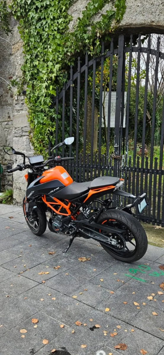 2024 KTM DUKE 390 MOTO4U - Image 3