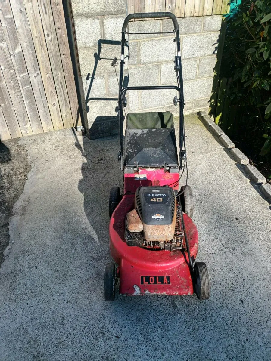 push lawnmower - Image 1