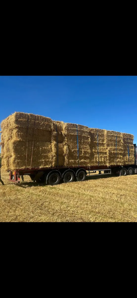 Barley, wheaten and oaten straw - Image 1