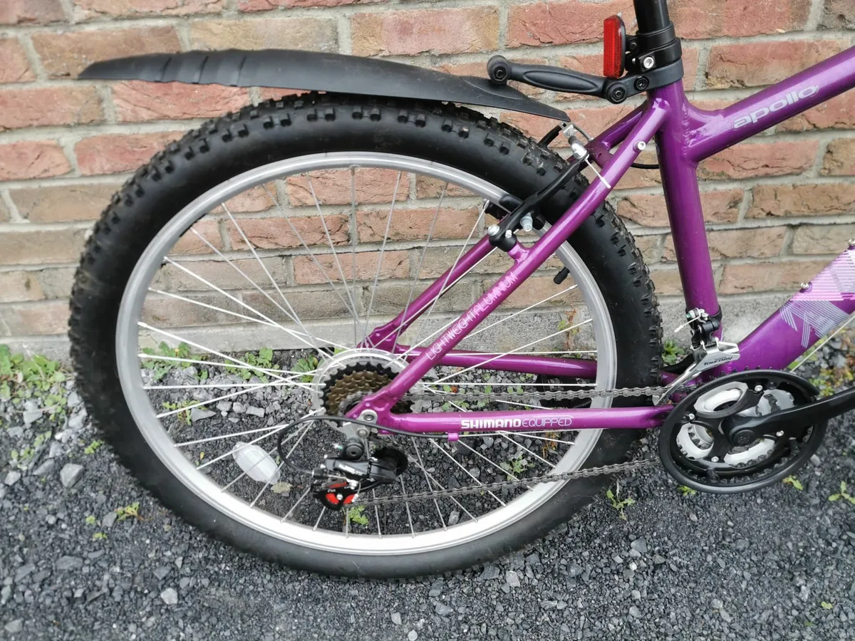 One  Adult Bike  for Sale - Image 3