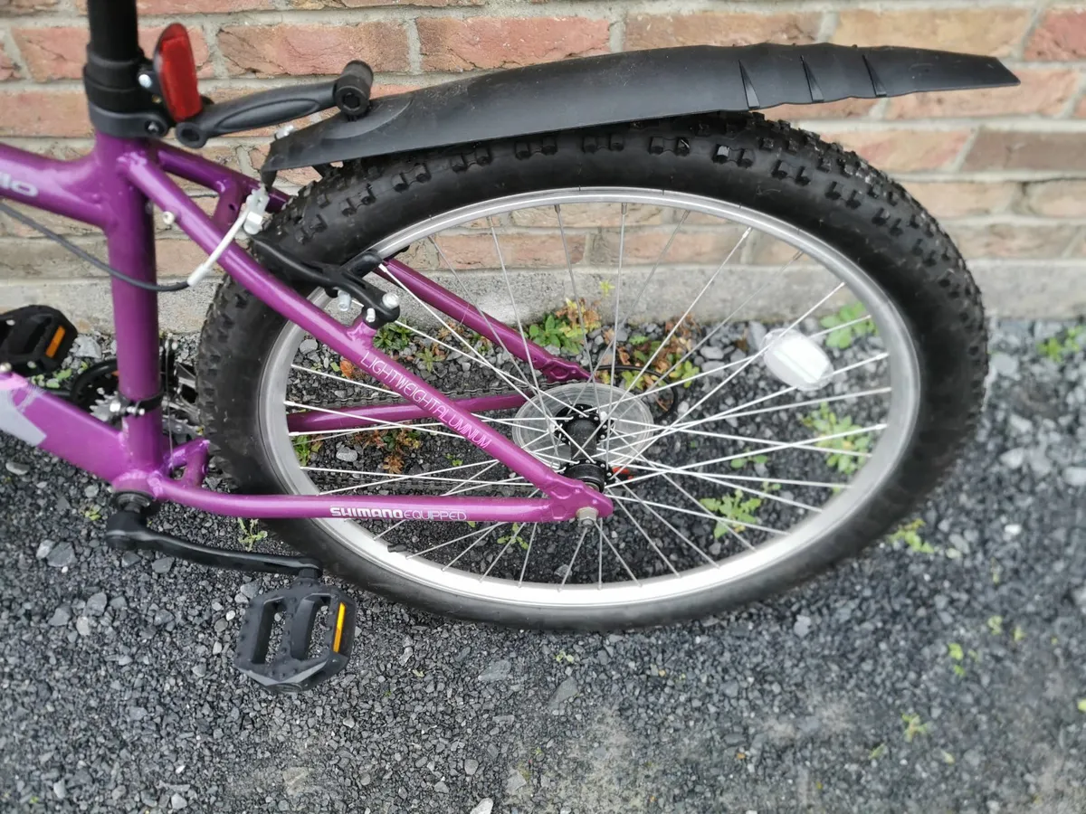 One  Adult Bike  for Sale - Image 4