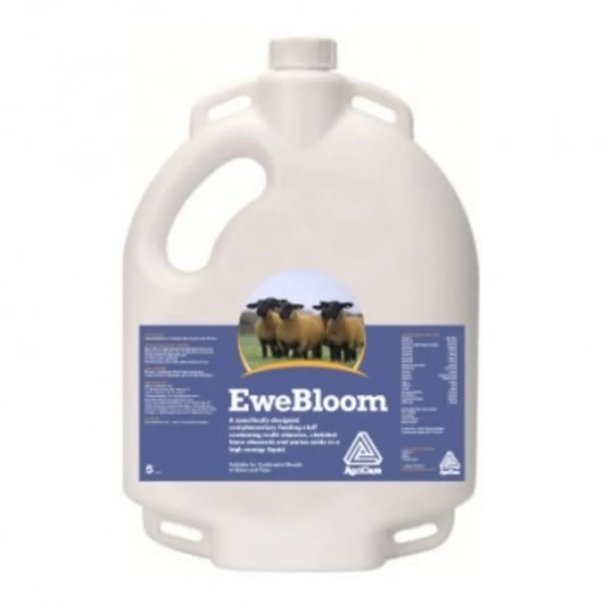 Ewe Bloom