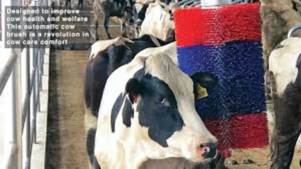 Automatic Cow Brush For sale at FDS - Image 4