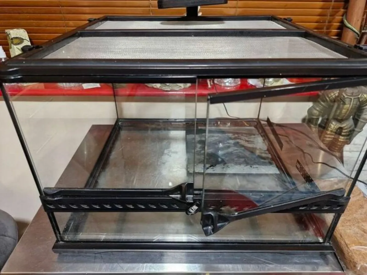 Exp Terra Gecko / Reptile enclosure - Image 1