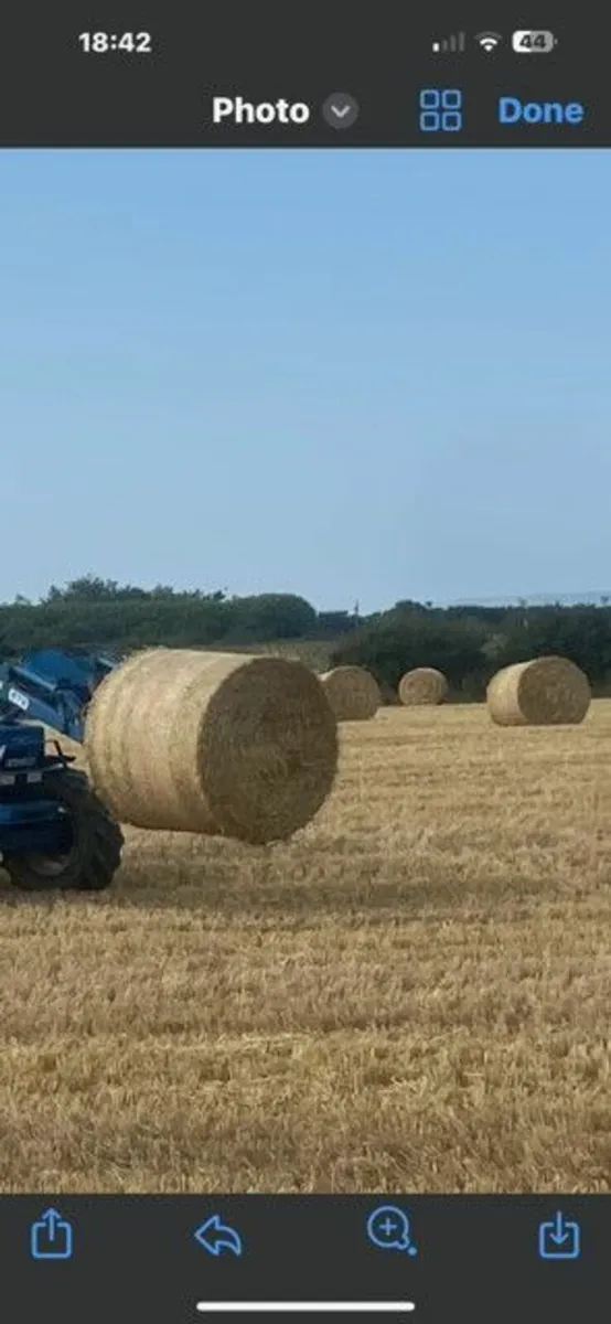 12 x Round Bales Golden Barley Straw