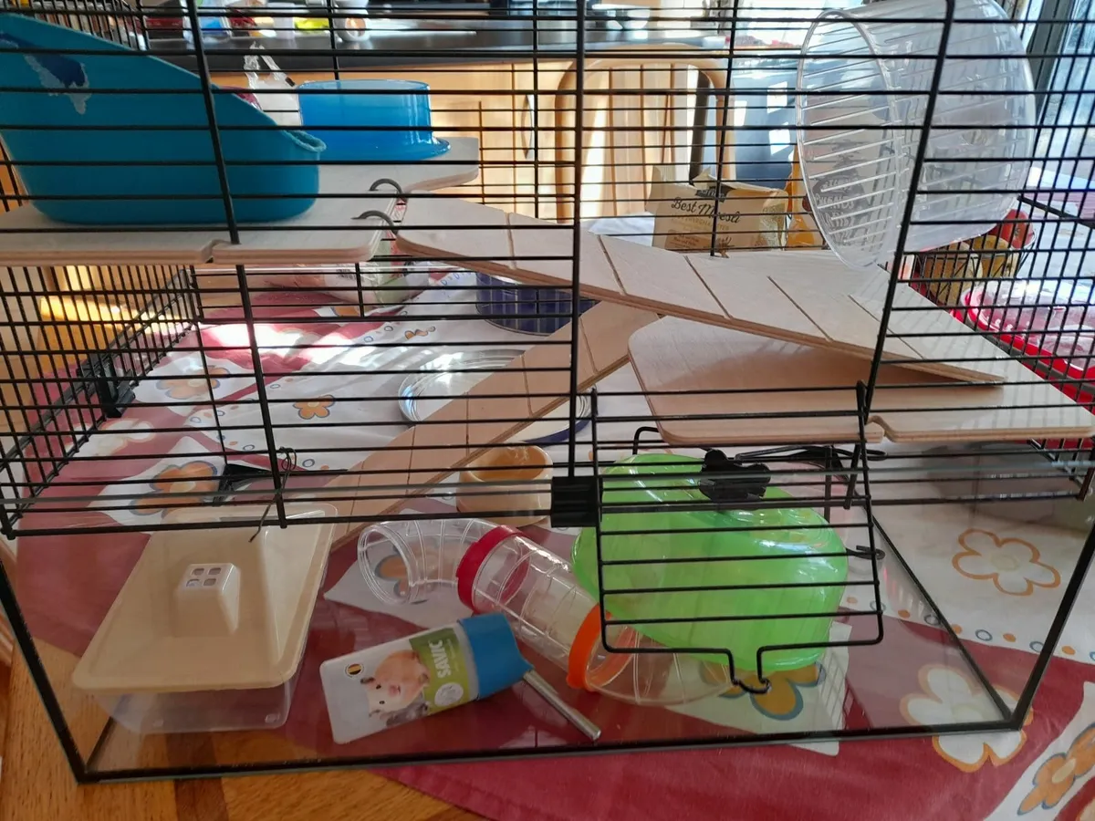 Reptile cage, Hamster glass cage  2 floors - Image 4