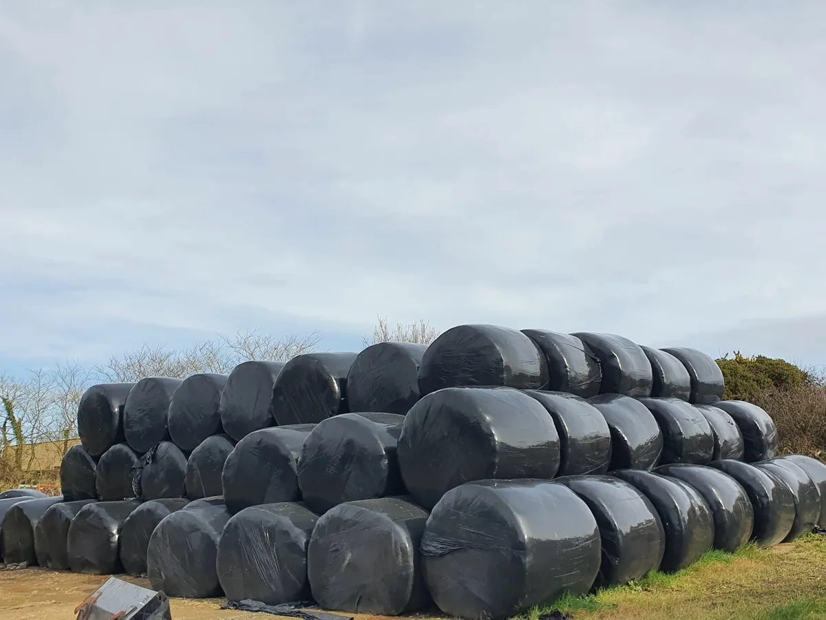 Haylage