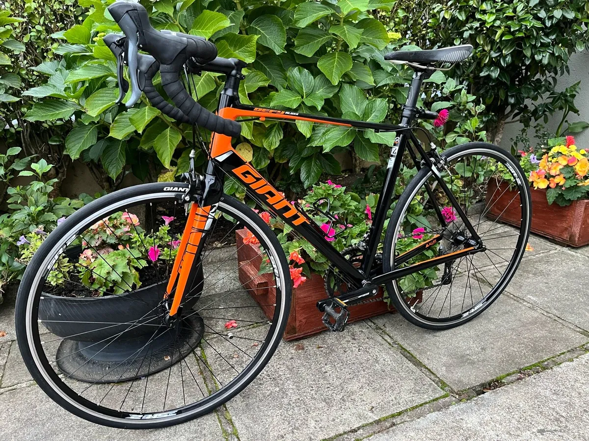 Giant Dafy 4 Road bike. for sale in Co. Cork for 320 on DoneDeal