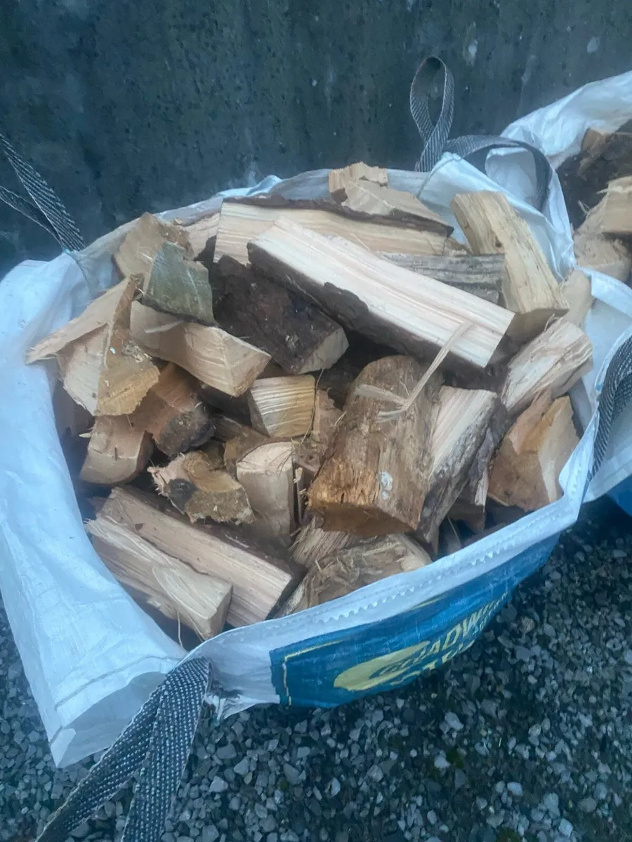 Firewood - Image 3