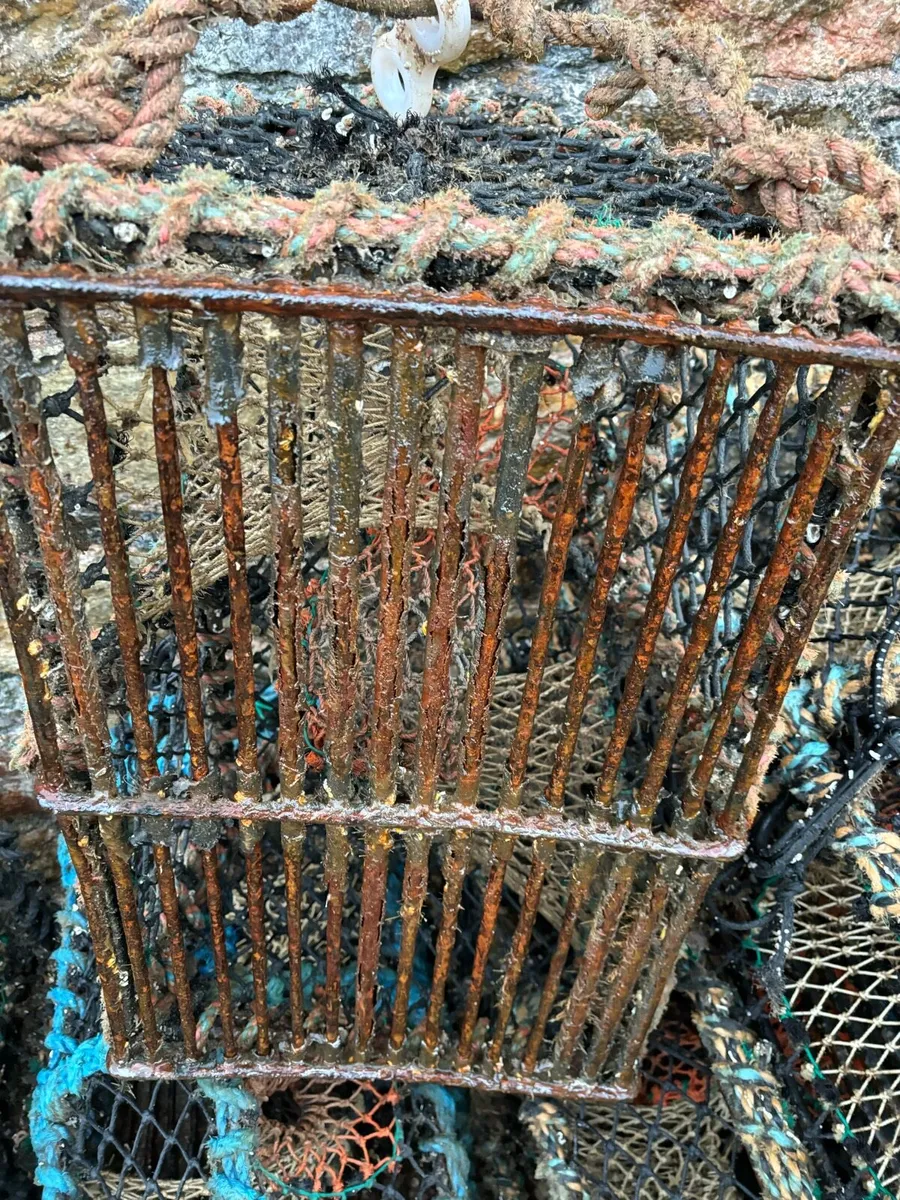 Lobster pots - Image 1