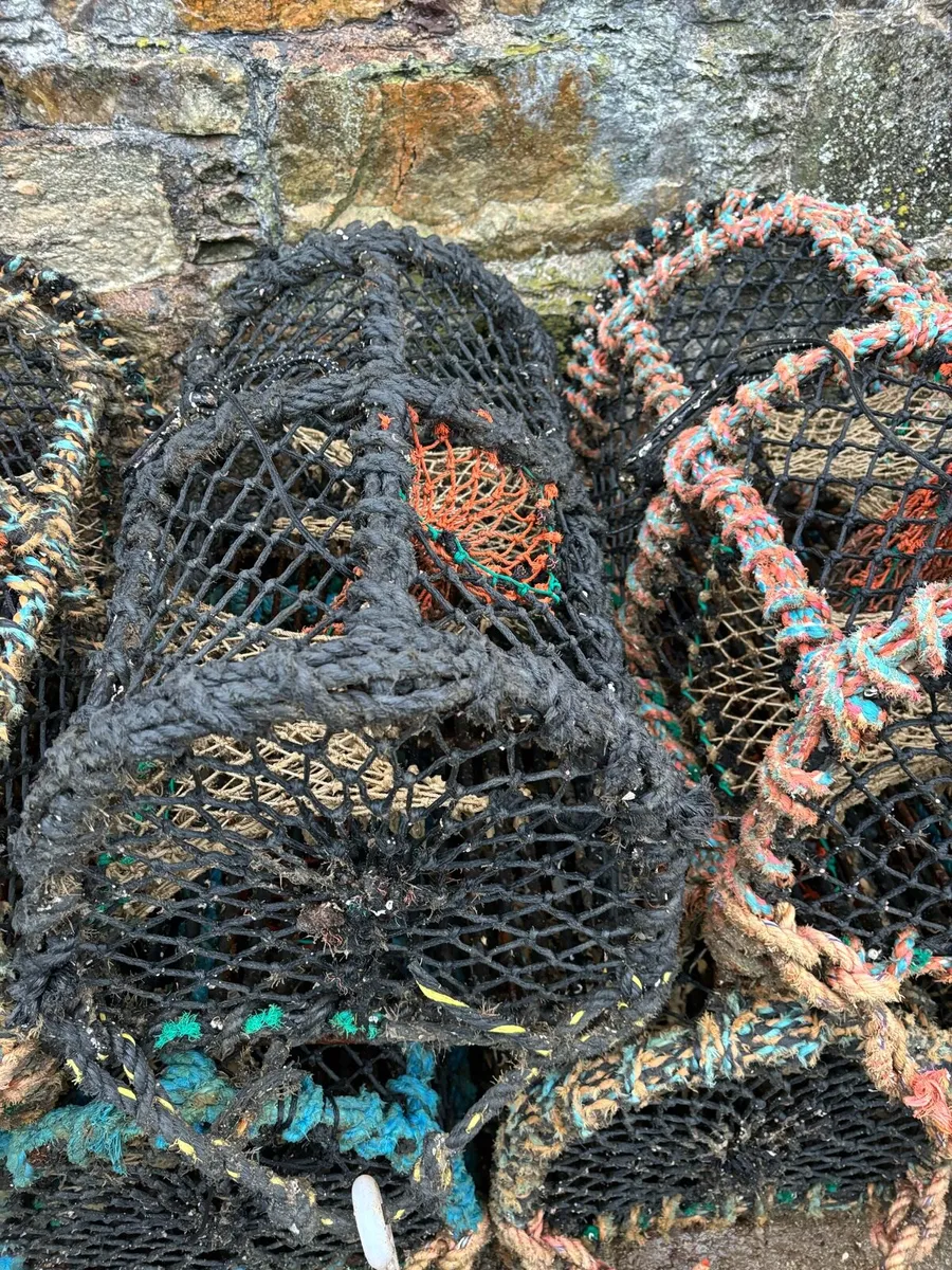 Lobster pots - Image 2