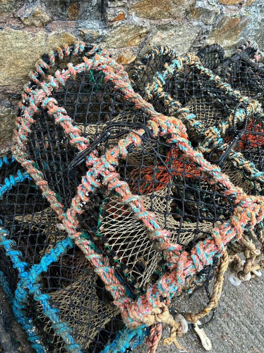 Lobster pots - Image 1