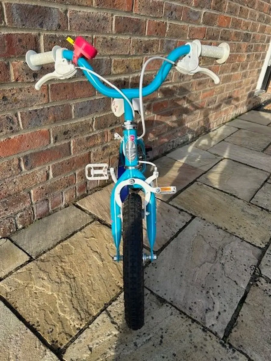 Apollo petal kids bike sales