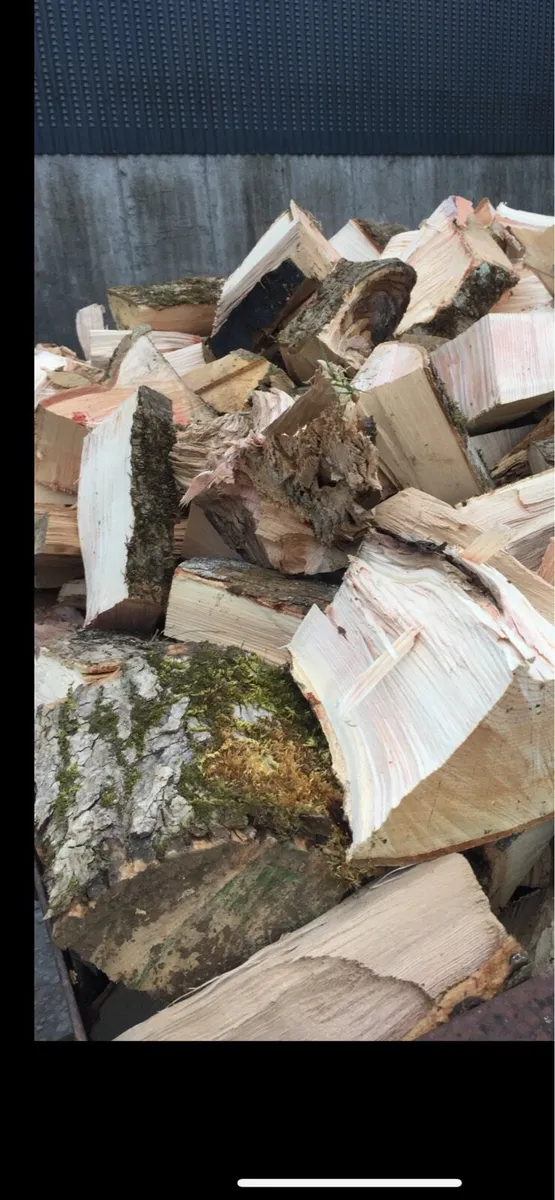 Loads of 8x5Hardwood Timber - Image 3