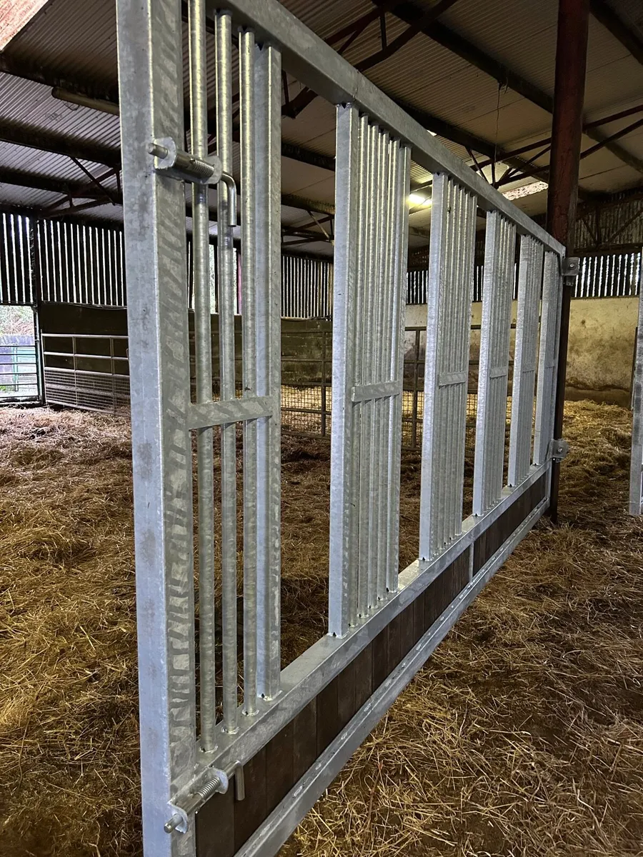 Equine Feed Barriers - Image 2