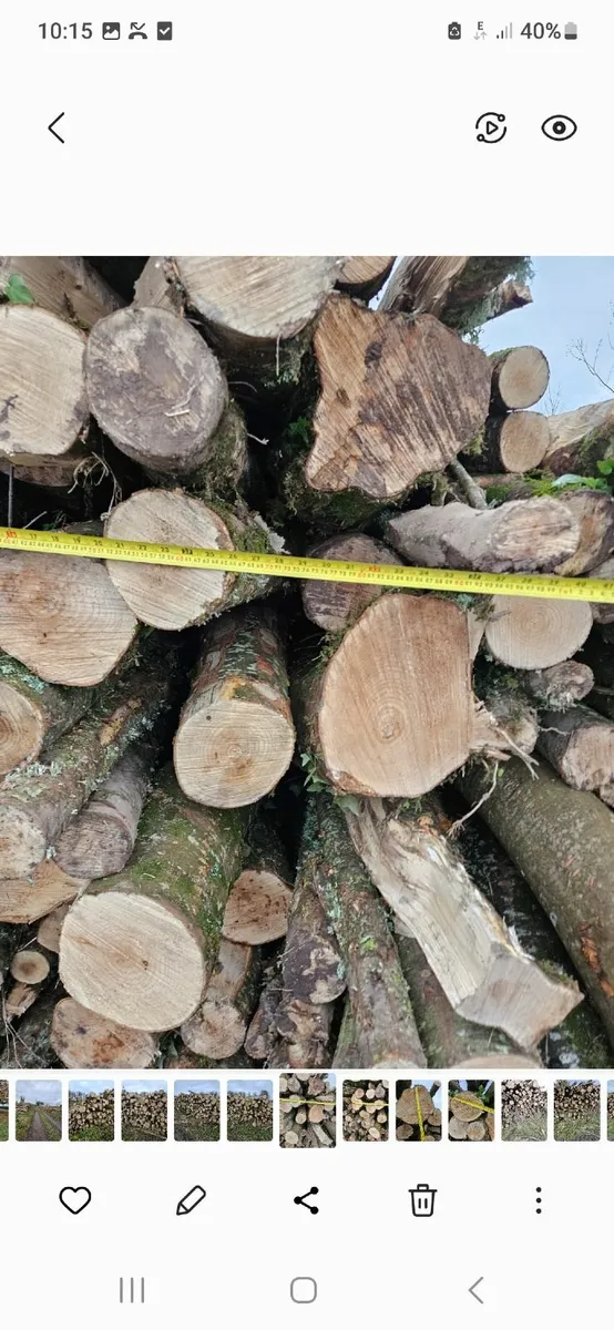 Firewood artic Loads of hardwood logs. - Image 2