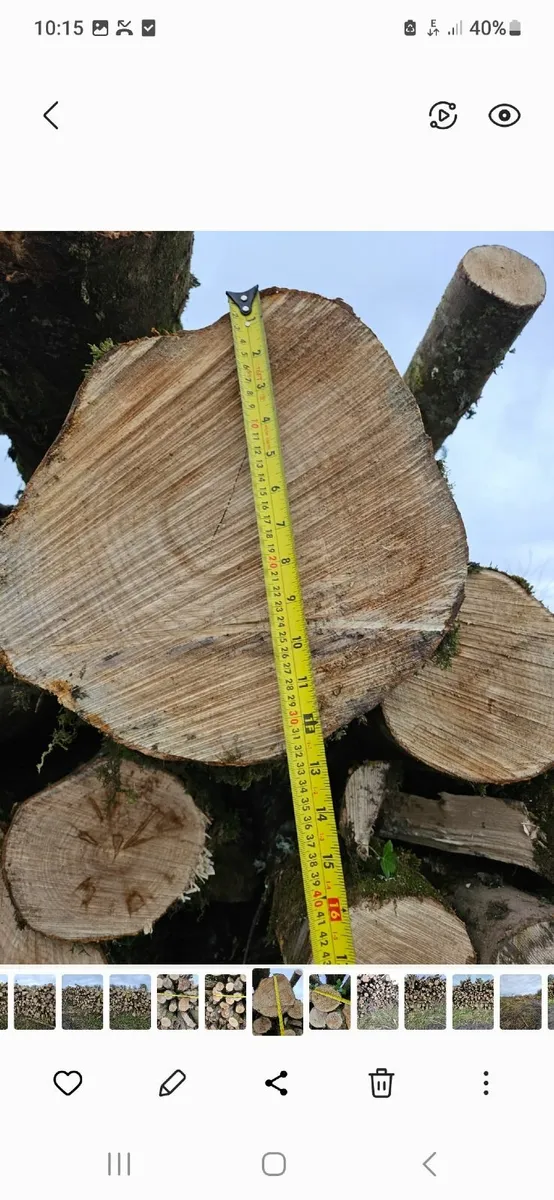 Firewood artic Loads of hardwood logs. - Image 3