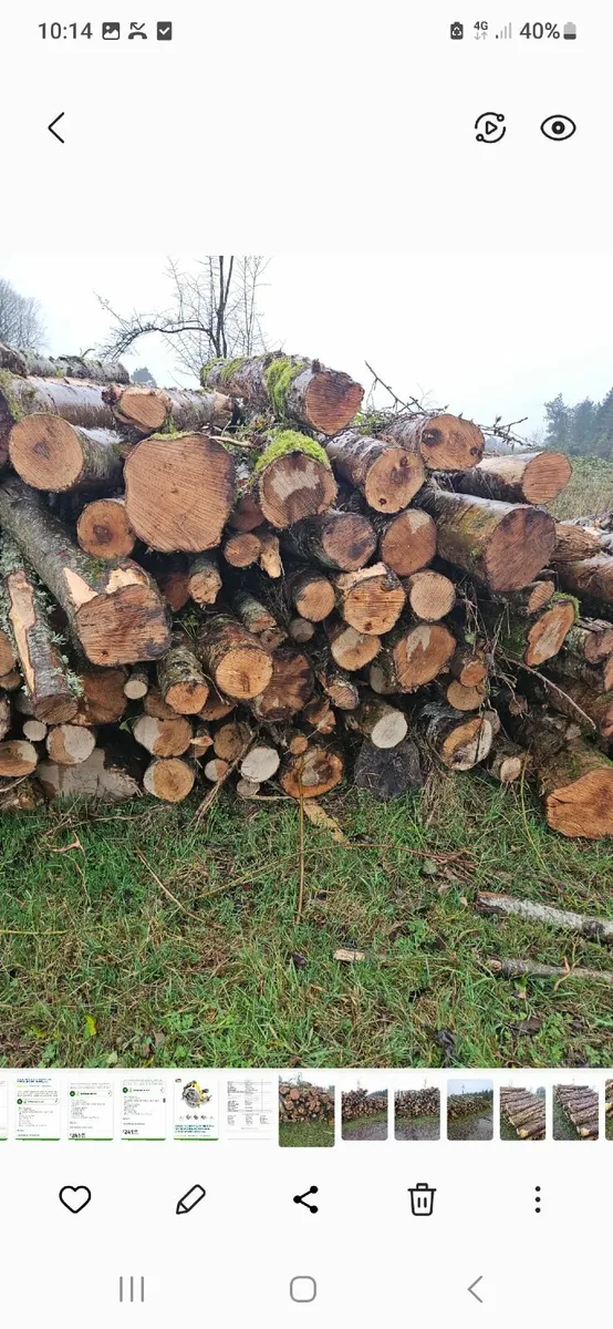 Firewood artic Loads of hardwood logs. - Image 4