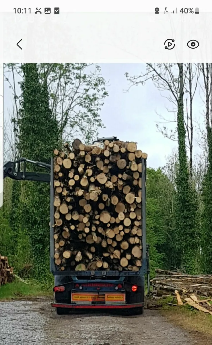 Firewood artic Loads of hardwood logs. - Image 1