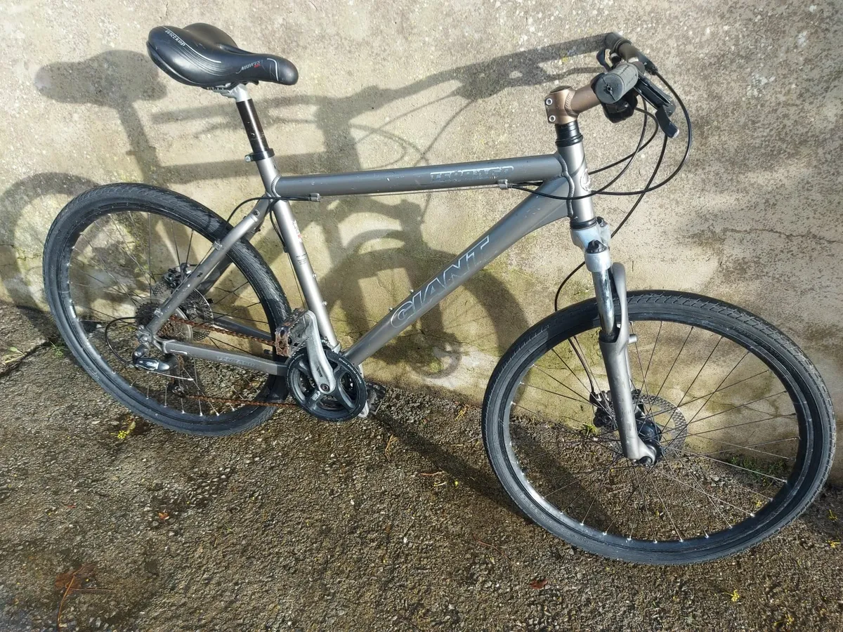 Giant terrago for sale hotsell