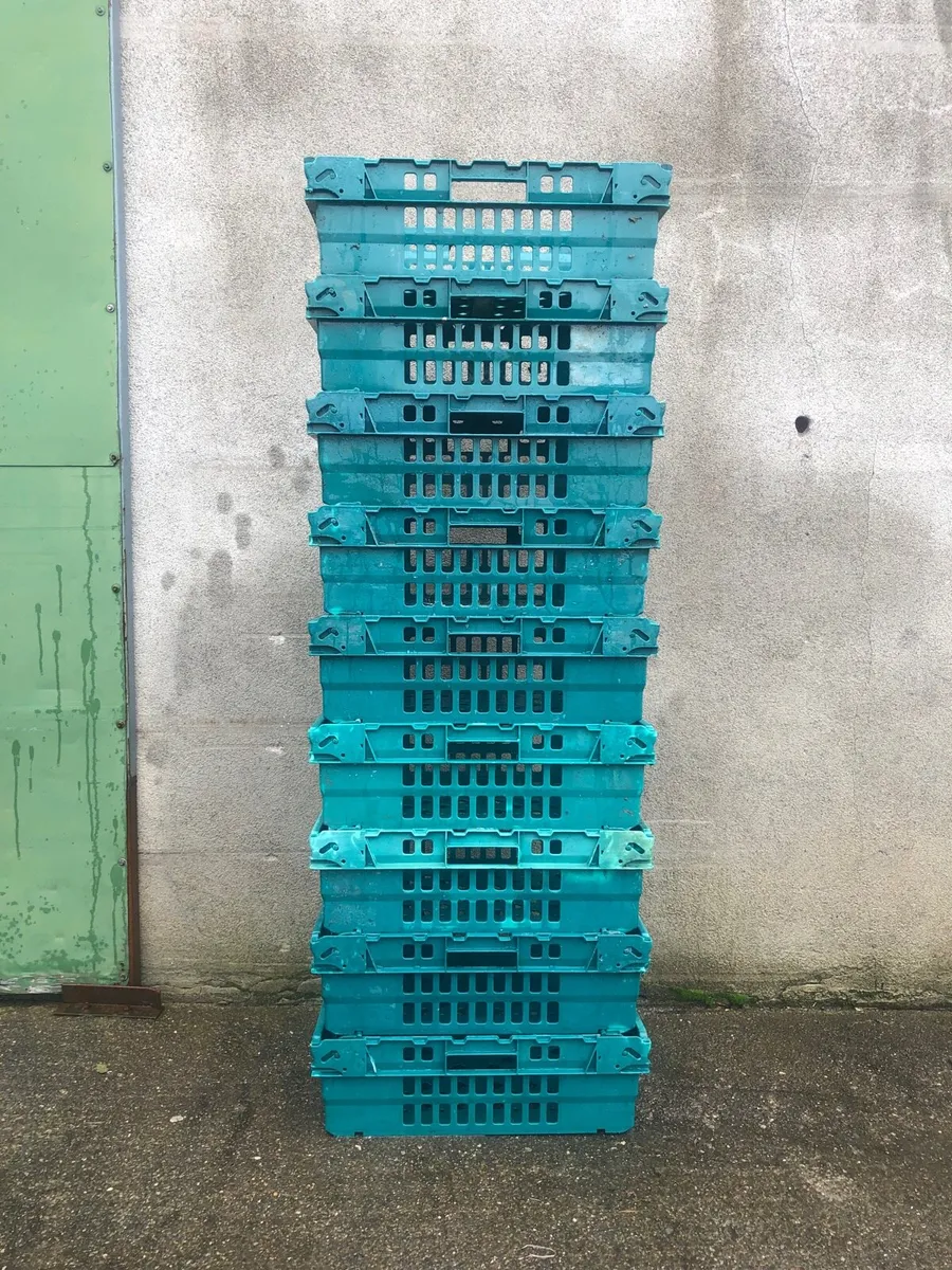 Storage crates - Image 2