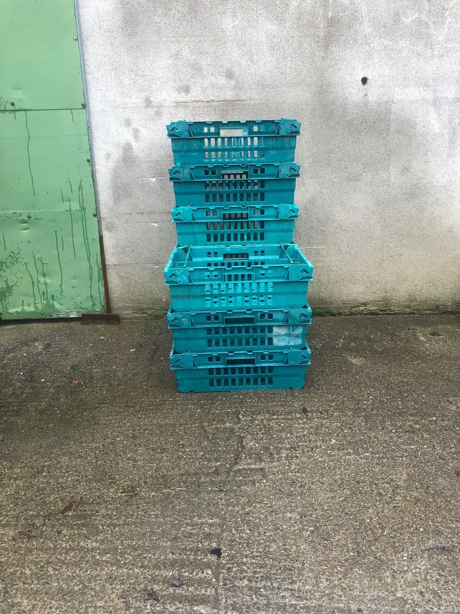 Storage crates - Image 3