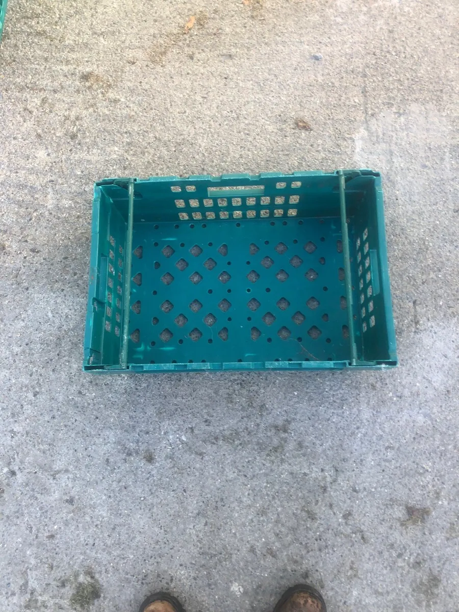 12 Storage crates €50 - Image 3